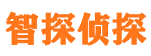 乐至外遇出轨调查取证